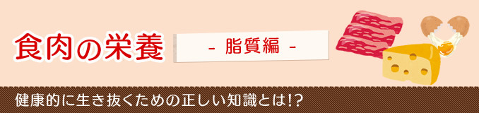 카지노 게임 사이트