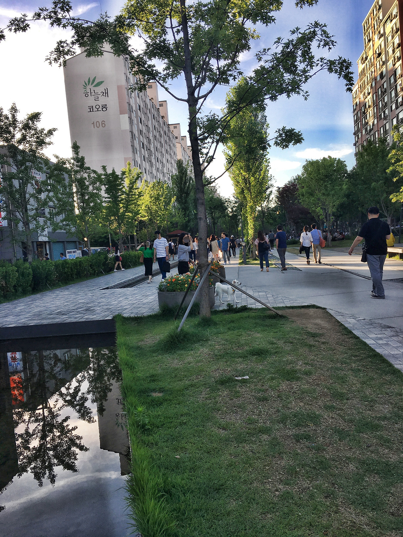 행복을 주는 연남동에서 우리는 피자와 커피를