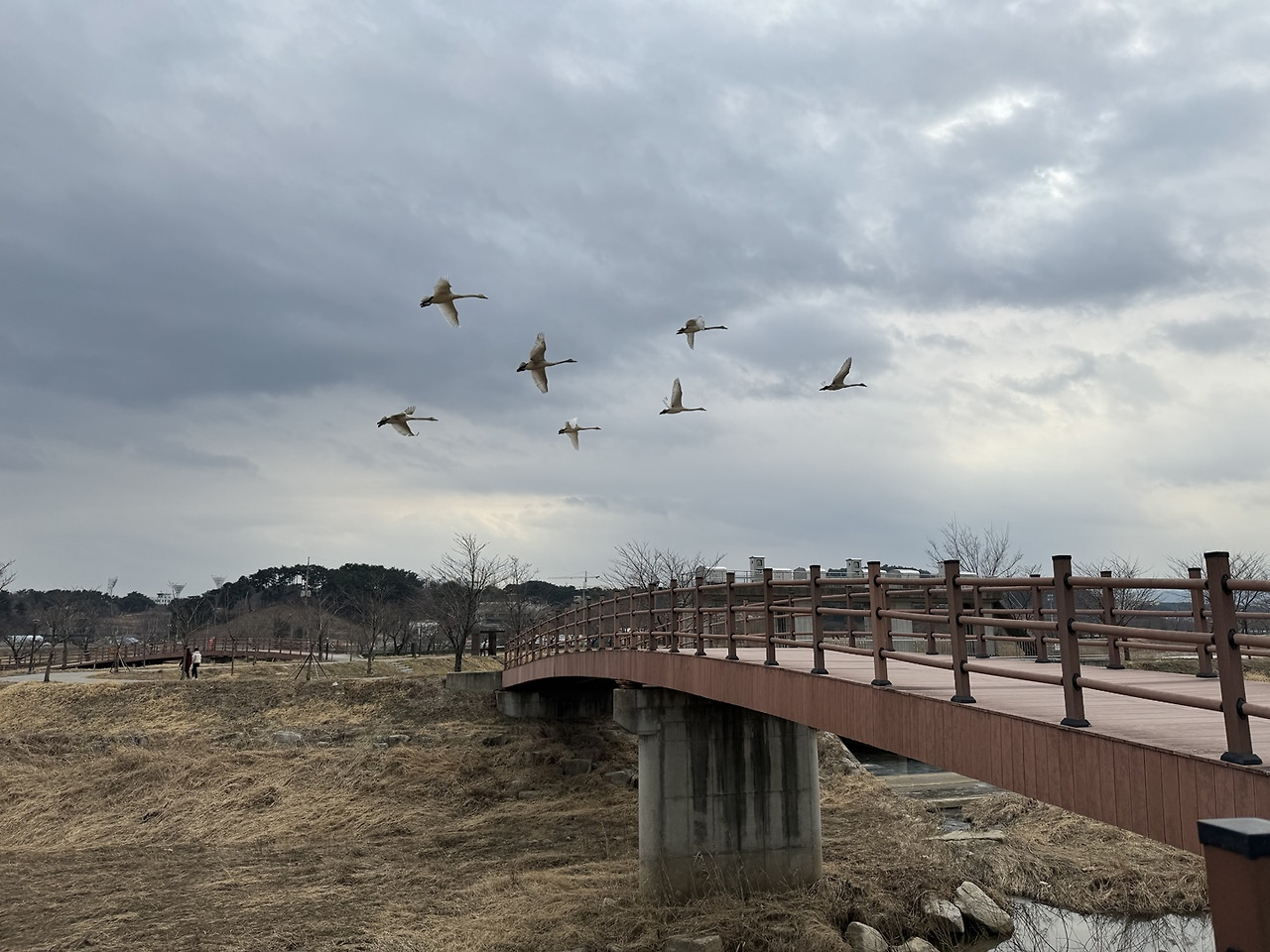 온라인 카지노 게임