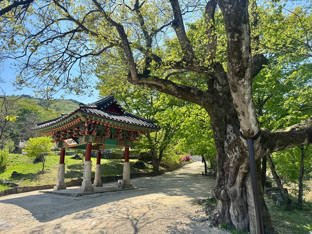 카지노 가입 쿠폰