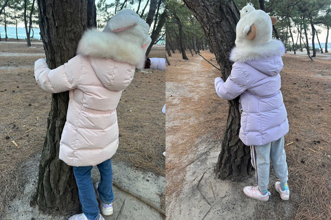 카지노 게임