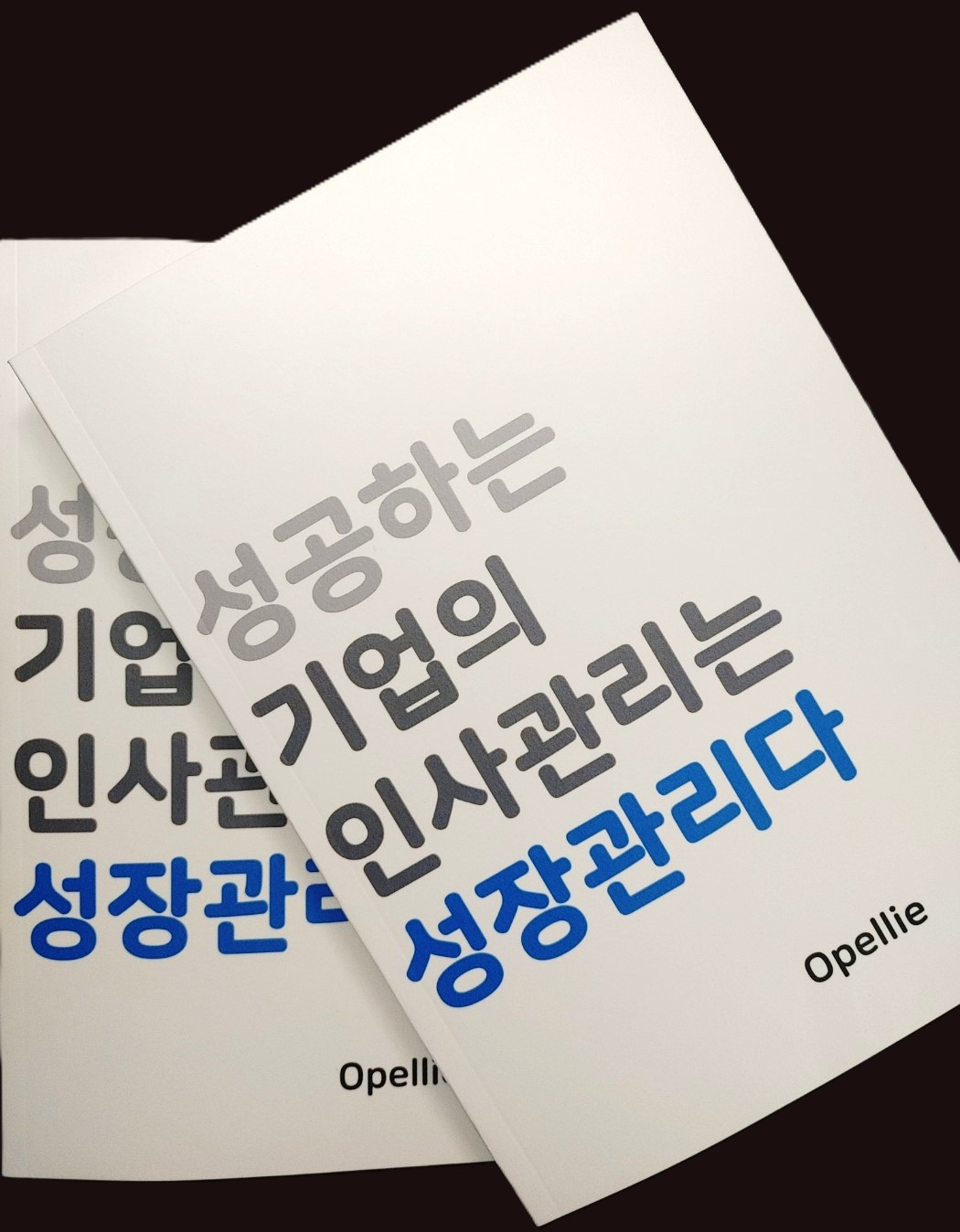 아테나카지노