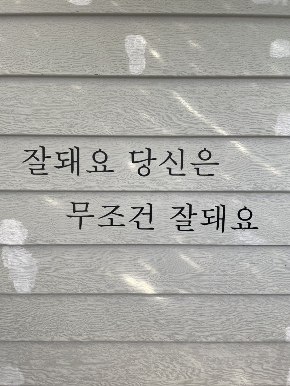 카지노 쿠폰