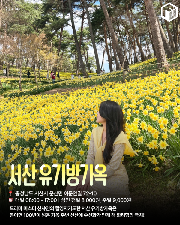 카지노 쿠폰