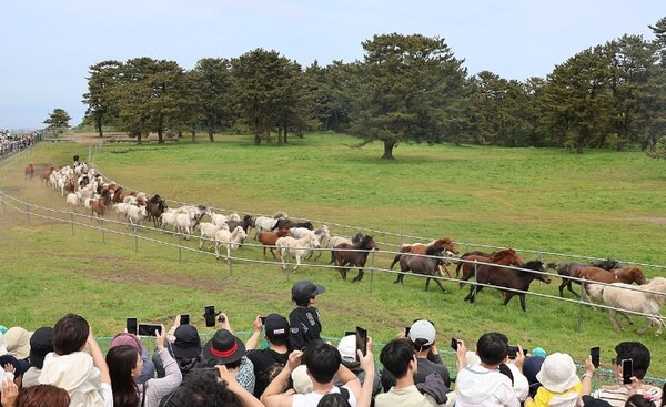카지노 게임 추천