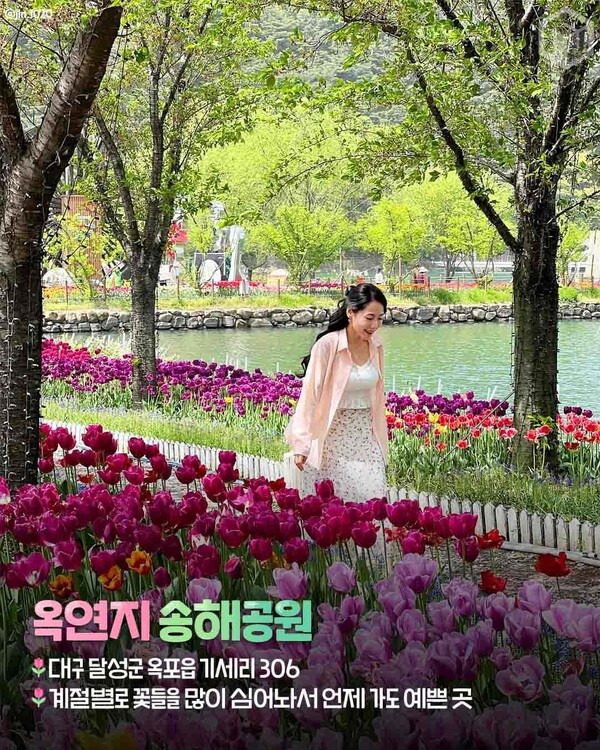 무료 카지노 게임