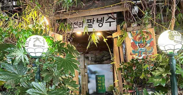 카지노 게임 추천