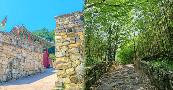 카지노 게임 추천