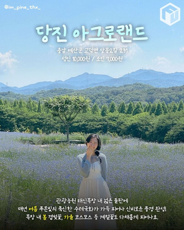 카지노 게임 추천