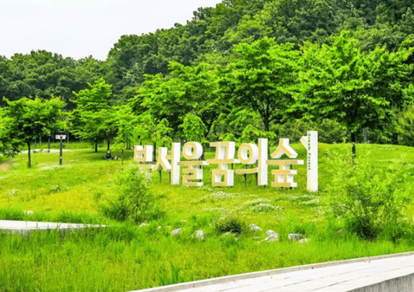 카지노 게임