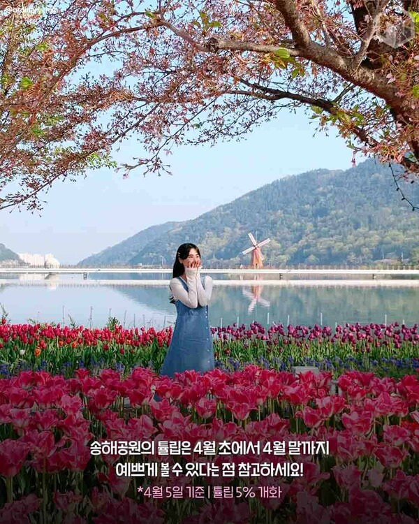 무료 카지노 게임