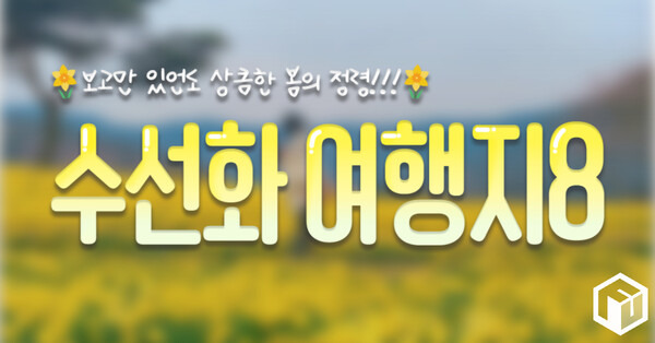카지노 쿠폰