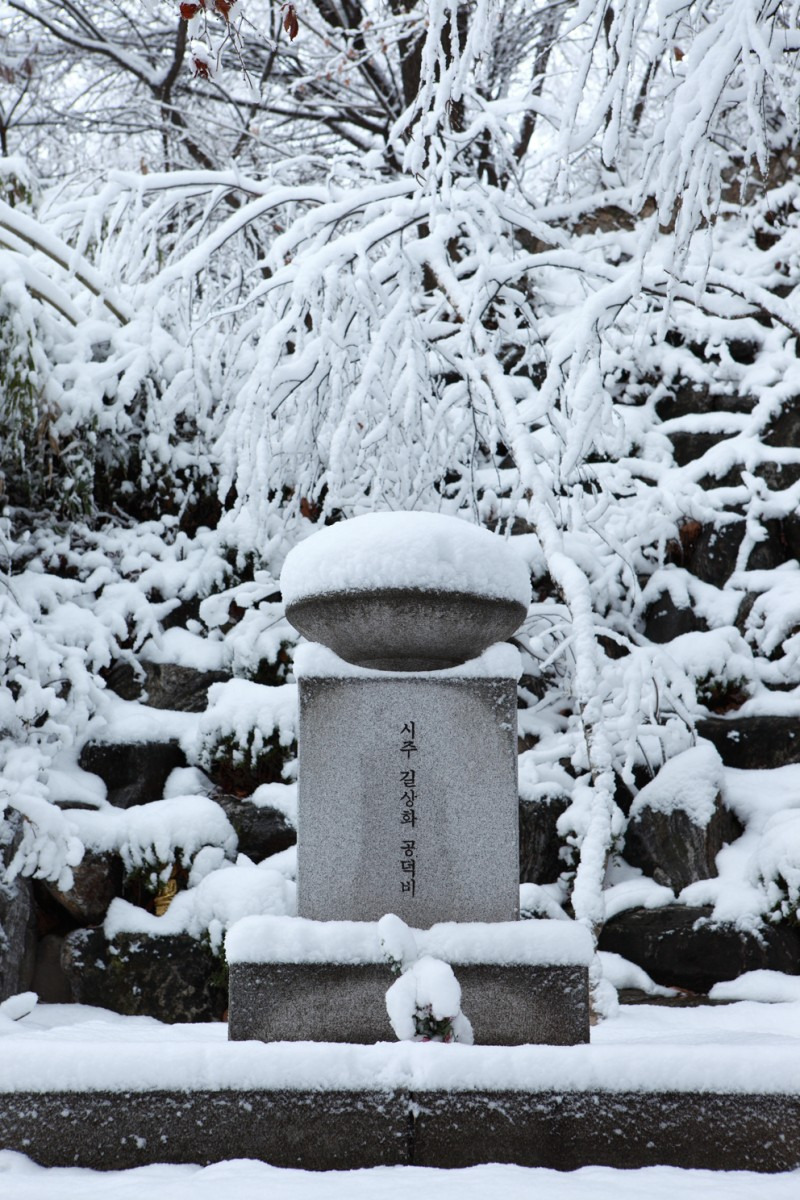 순백의 비원
