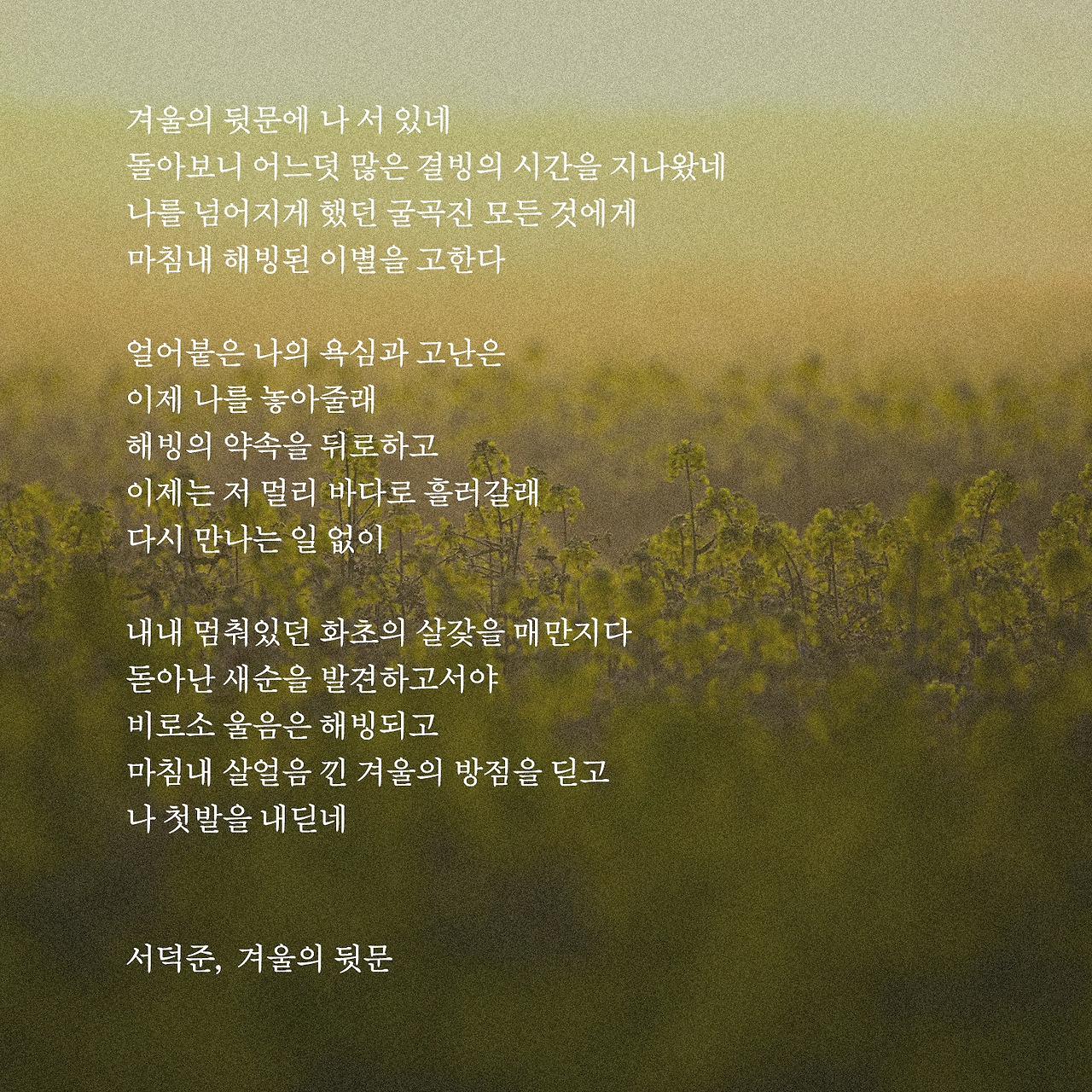 카지노 쿠폰