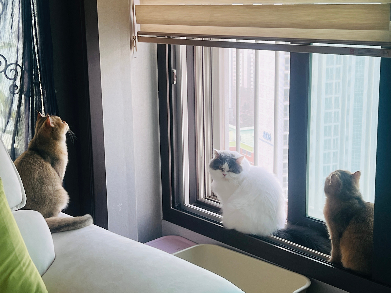 카지노 가입 쿠폰