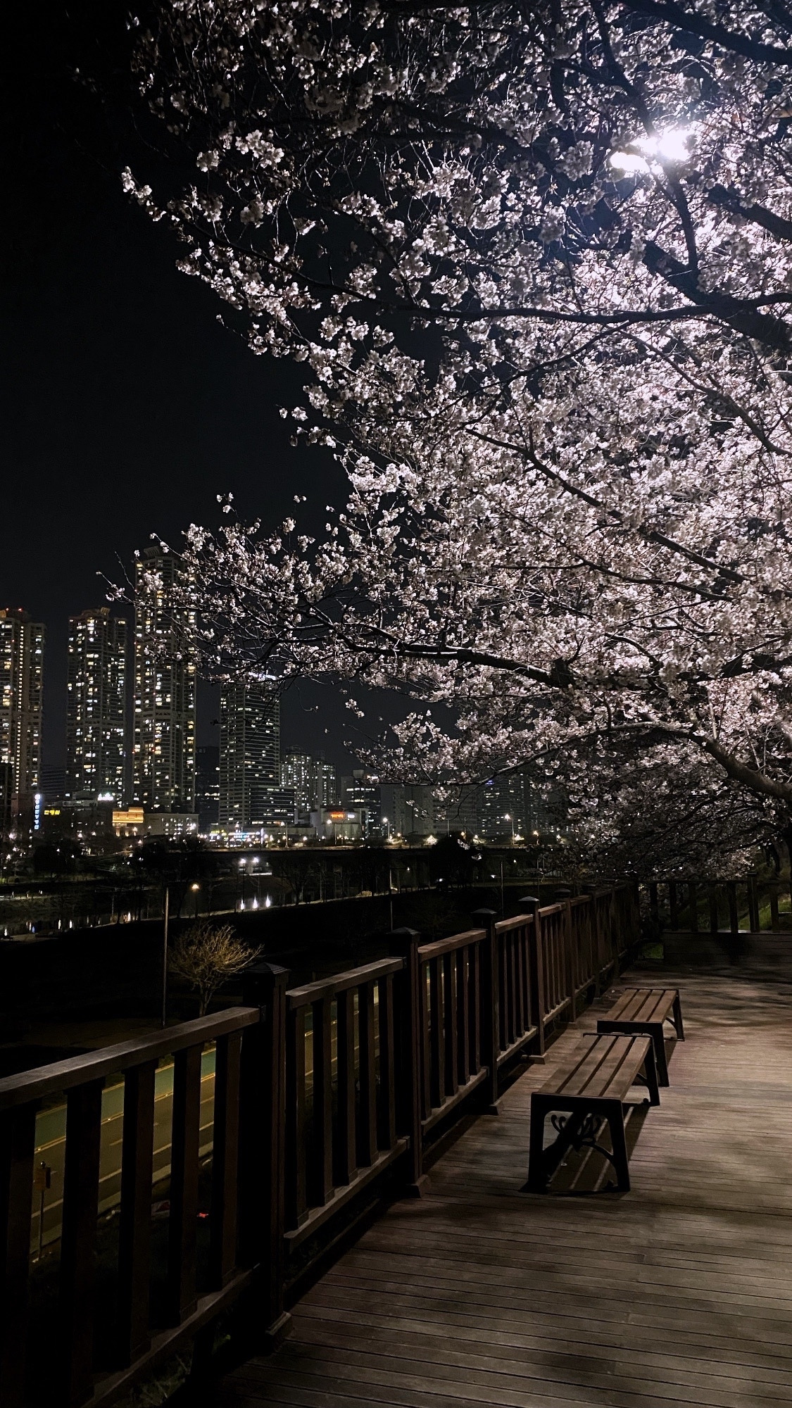 카지노 게임