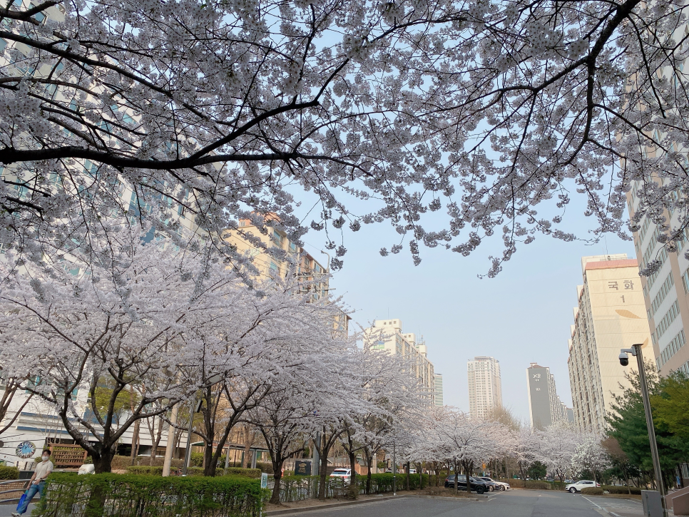 카지노 게임