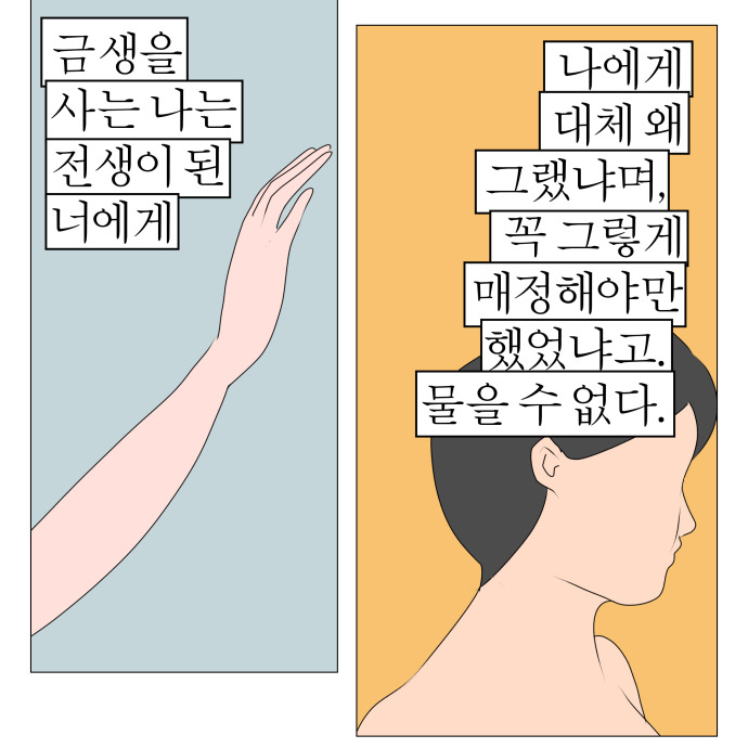 파라존 코리아카지노
