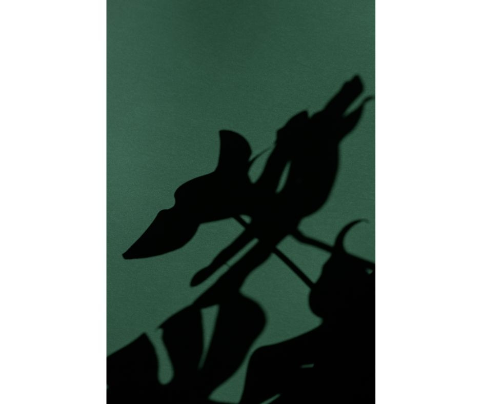 01화 별 일 아닐 거야