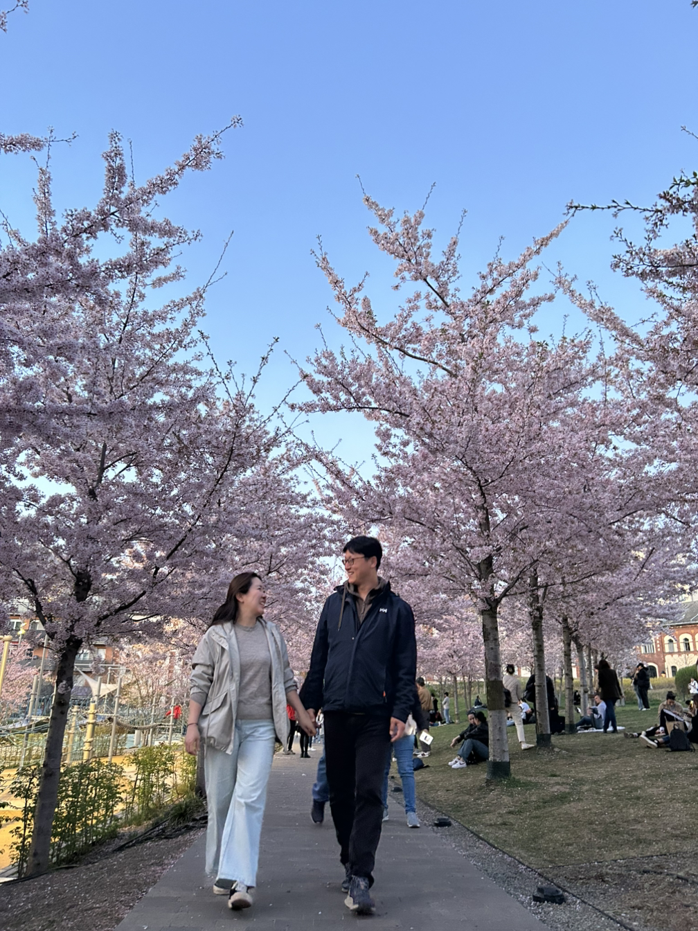 카지노 게임
