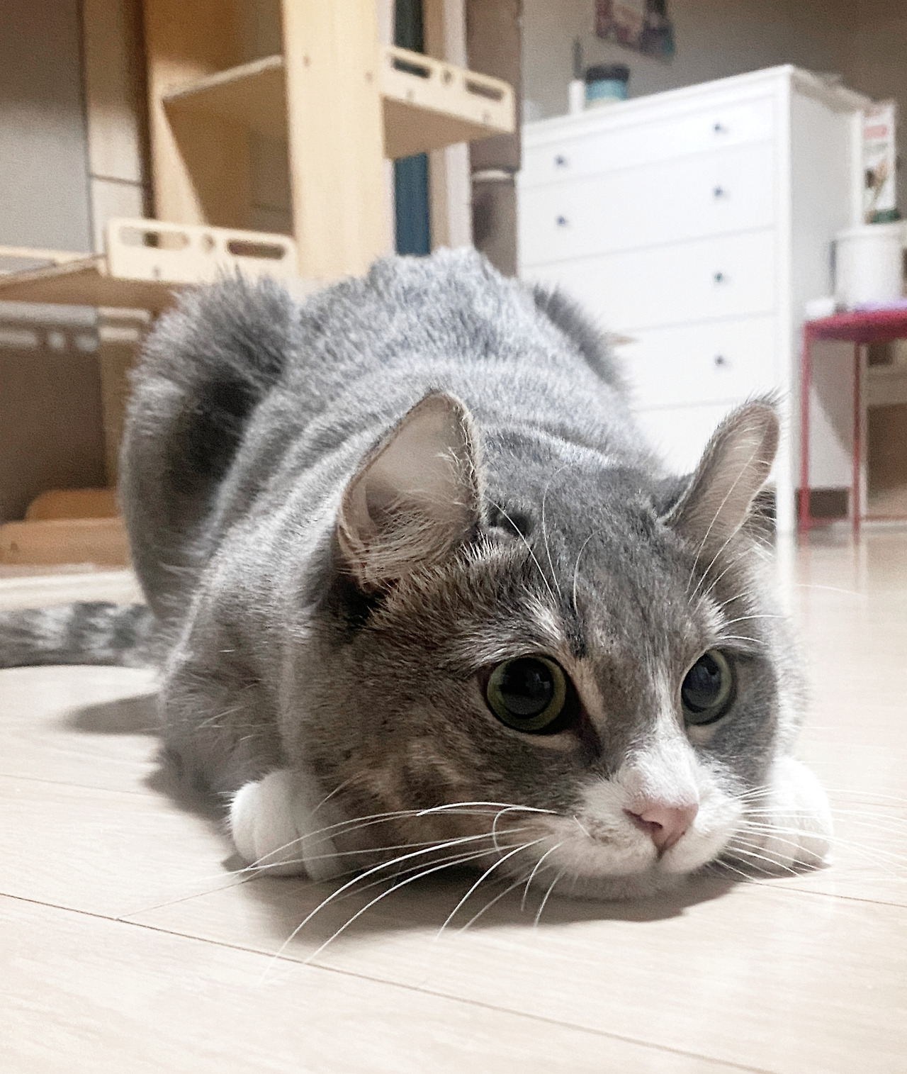 카지노 가입 쿠폰