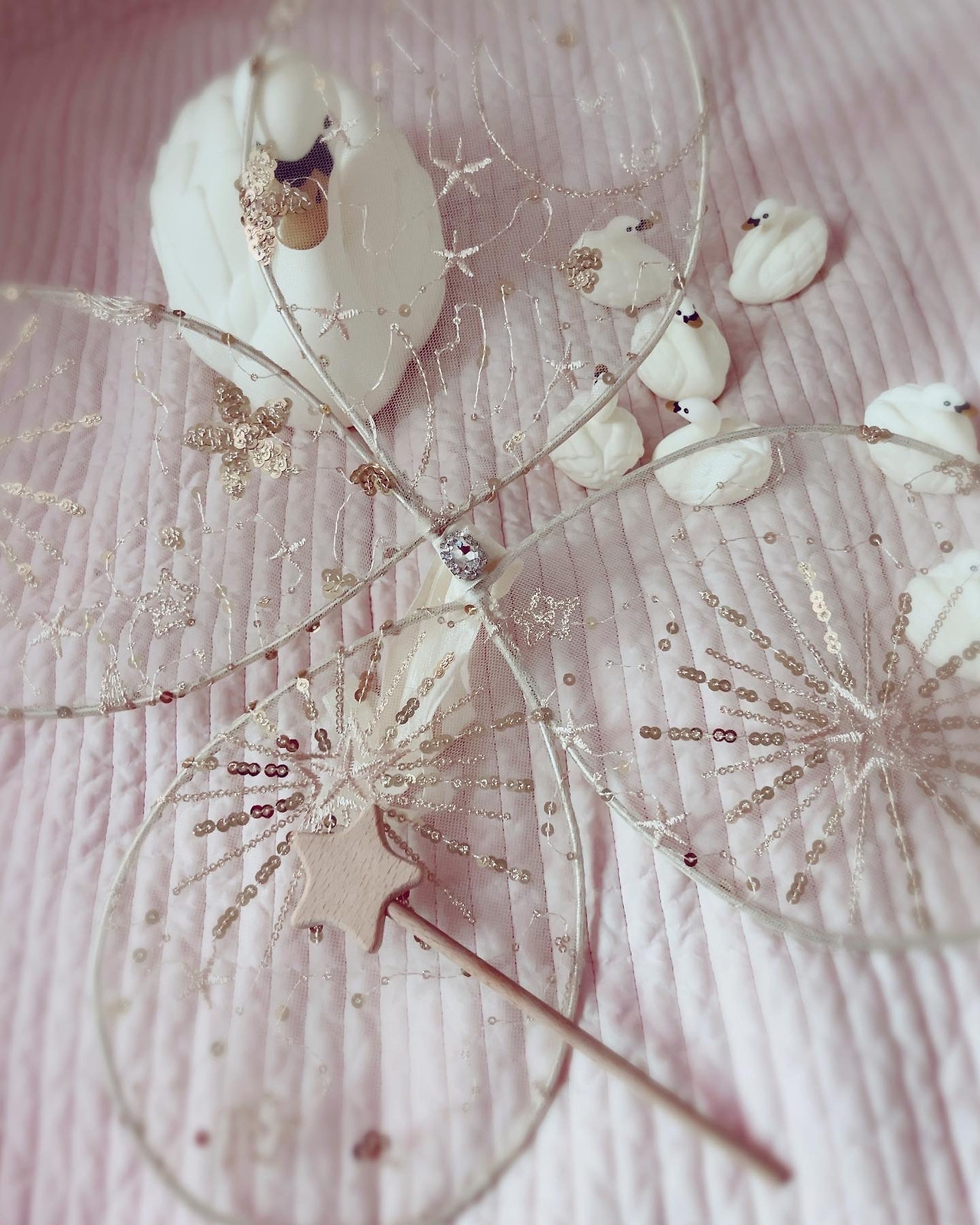 카지노 쿠폰