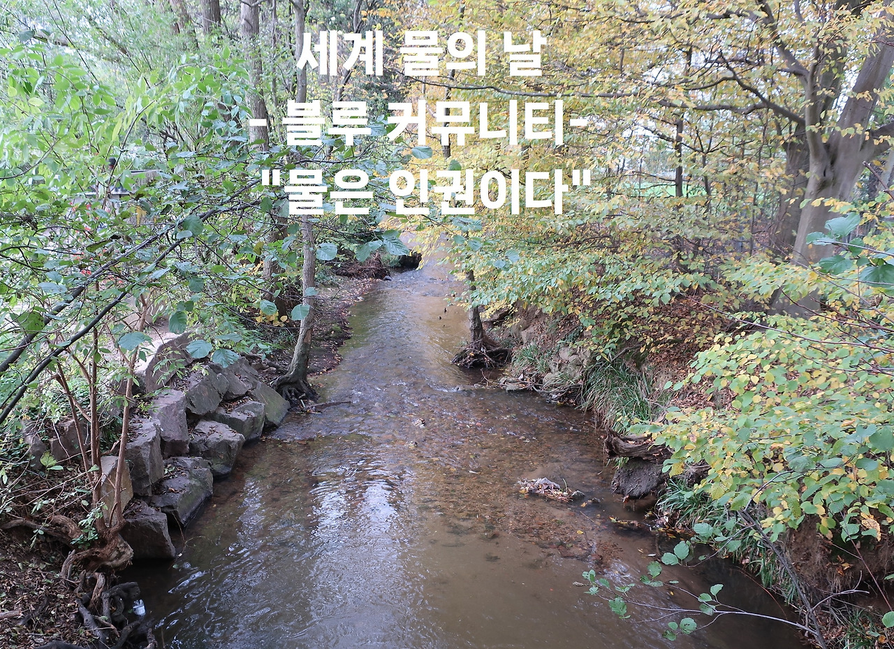 카지노 가입 쿠폰