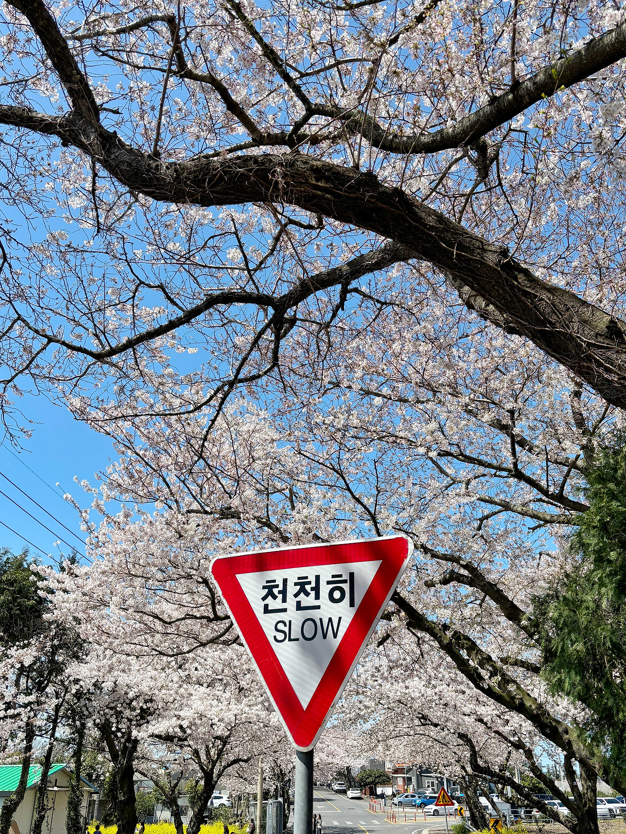카지노 게임