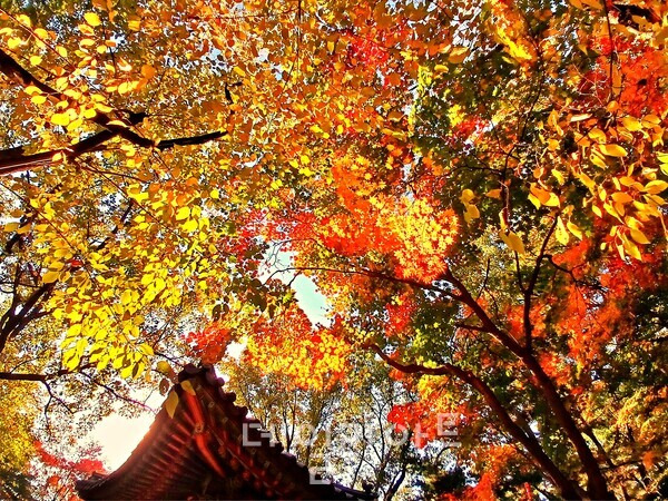 브런치 글 이미지 1