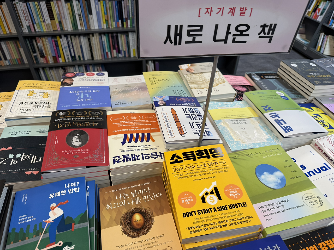 02화 (2화)어서와! 이런 도서관 소개는 처음이지?
