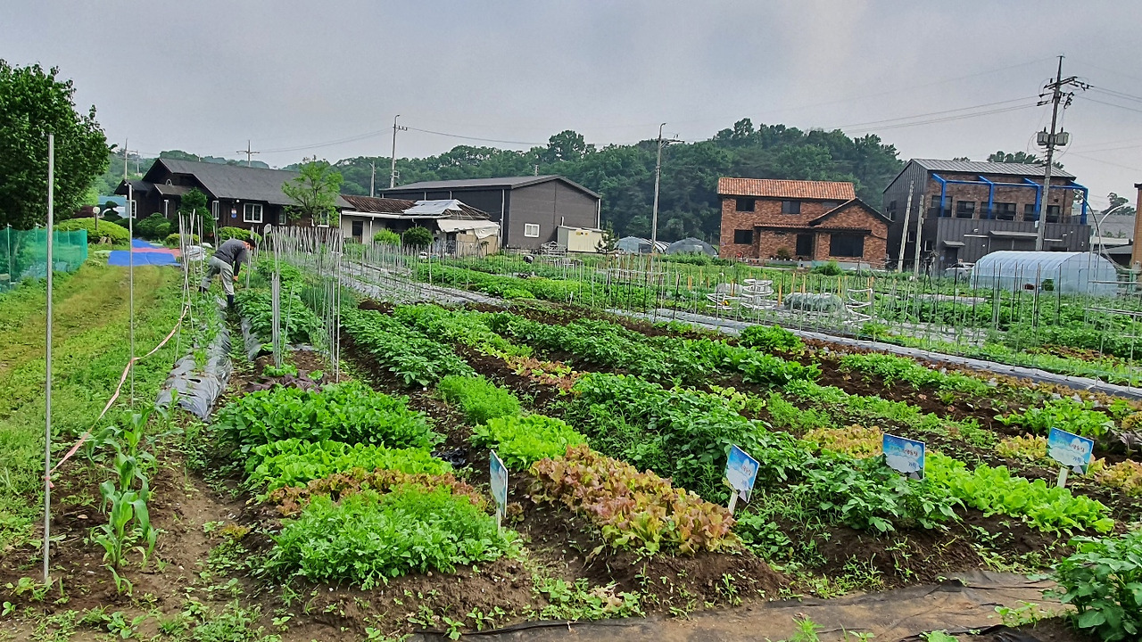 [소망 할머니의 별별 싱싱 마트]