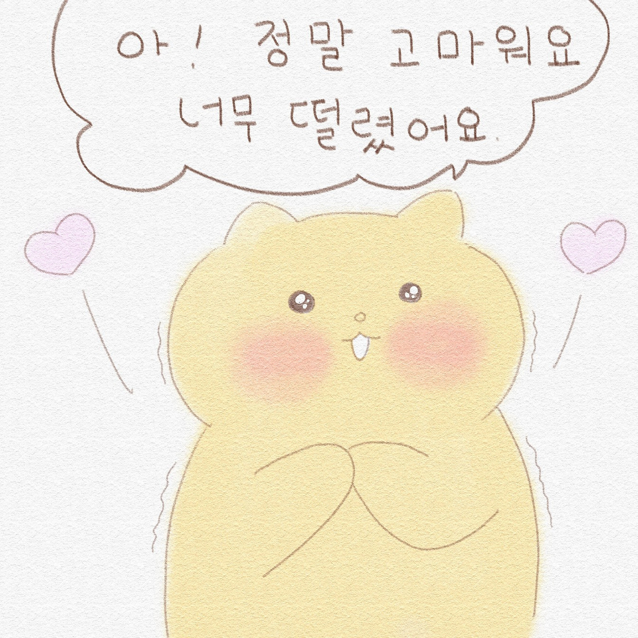 카지노 게임 사이트