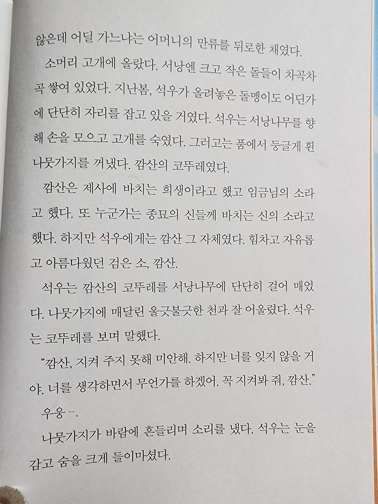 카지노 게임 사이트