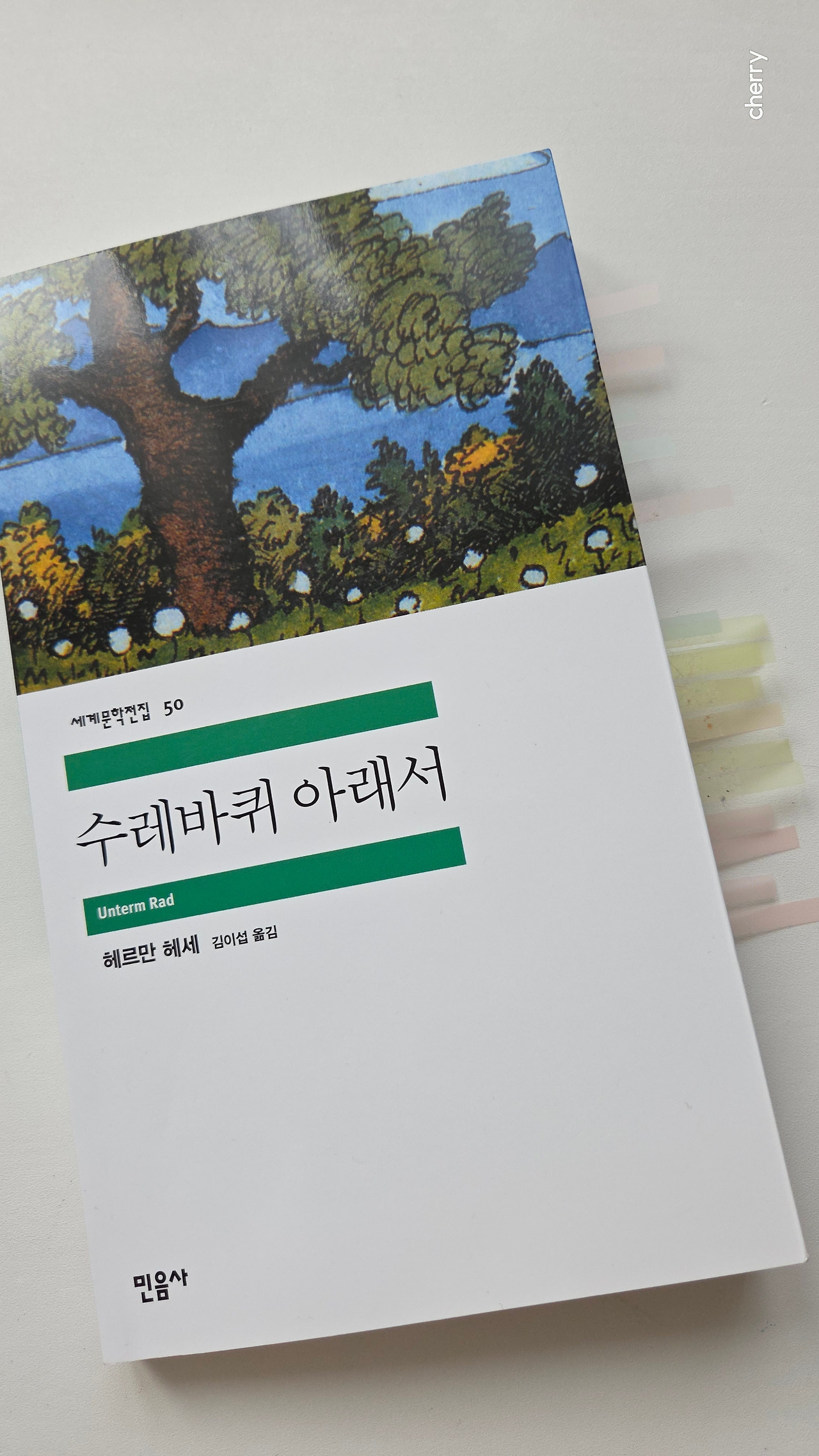 무료 카지노 게임