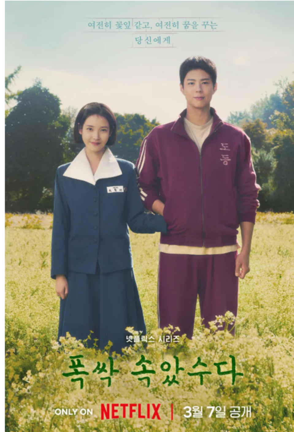 카지노 쿠폰