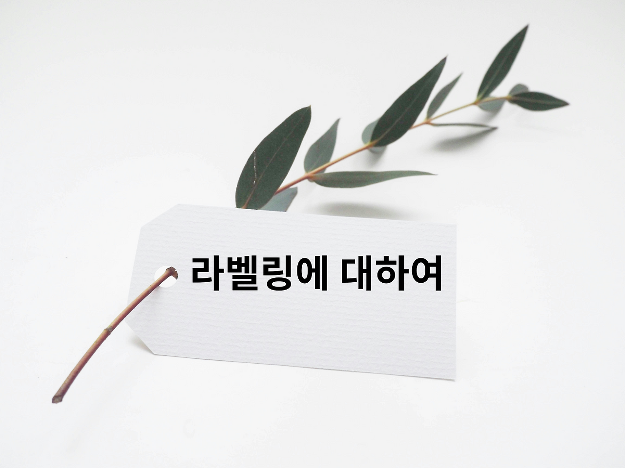 산타카지노