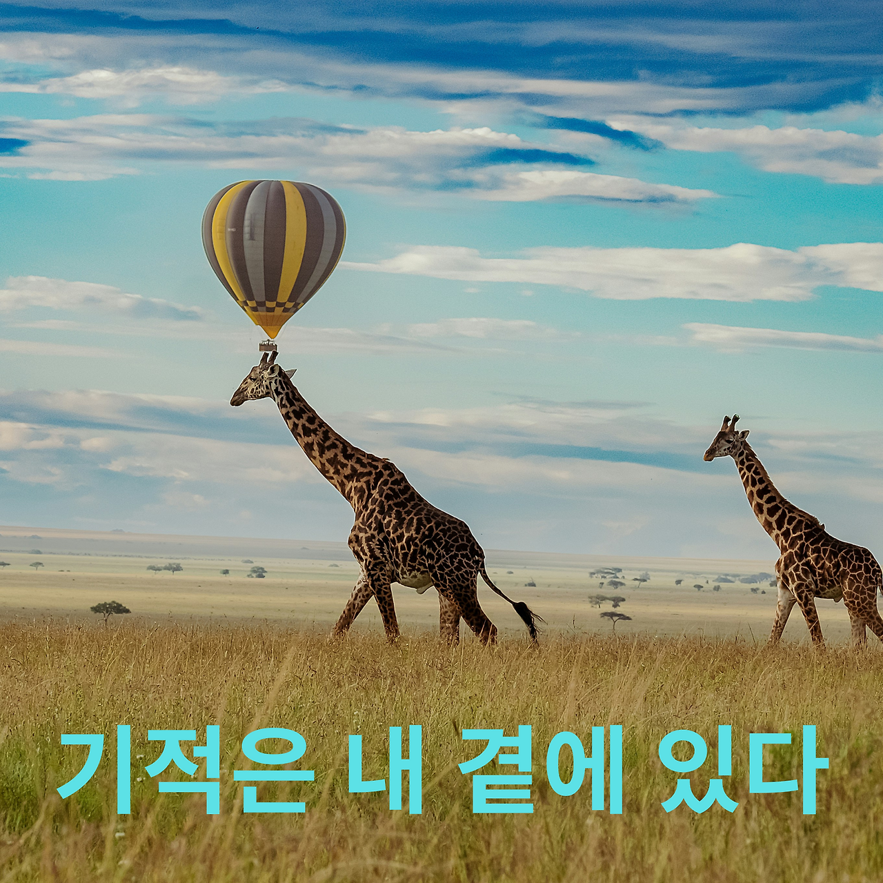 바오슬롯
