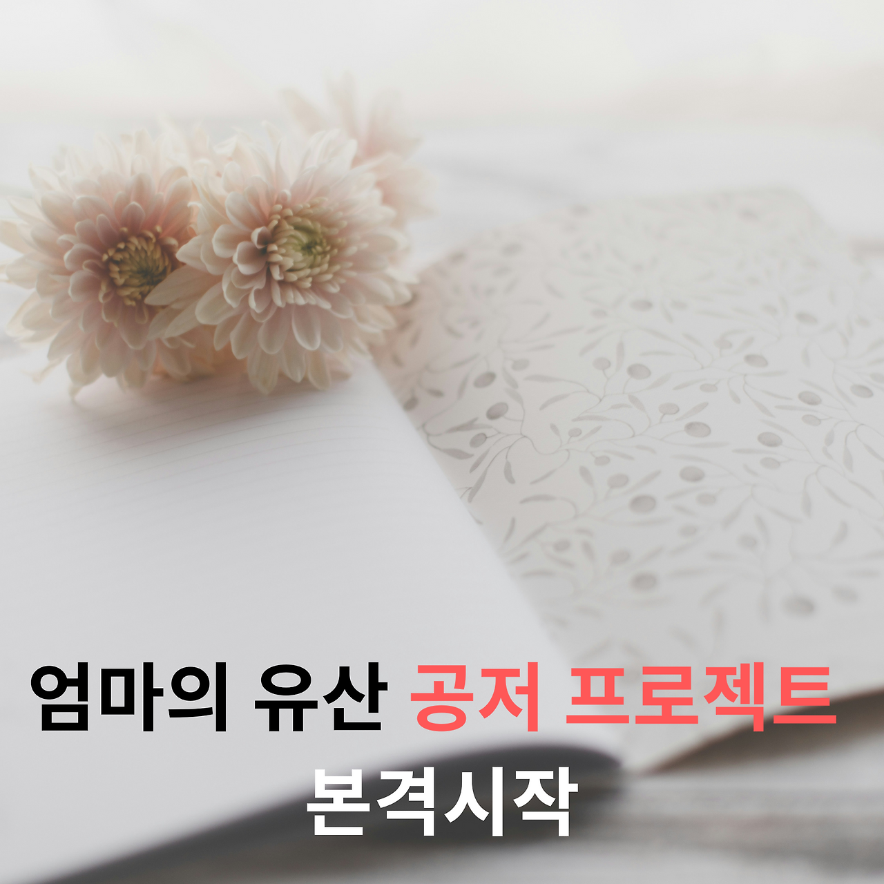 아시아365