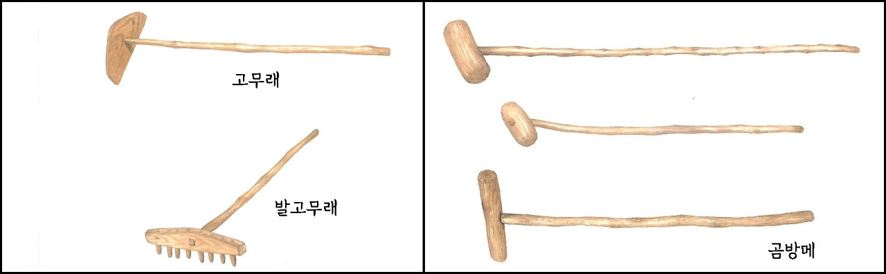 카지노 가입 쿠폰