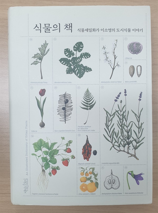 온라인 카지노 게임