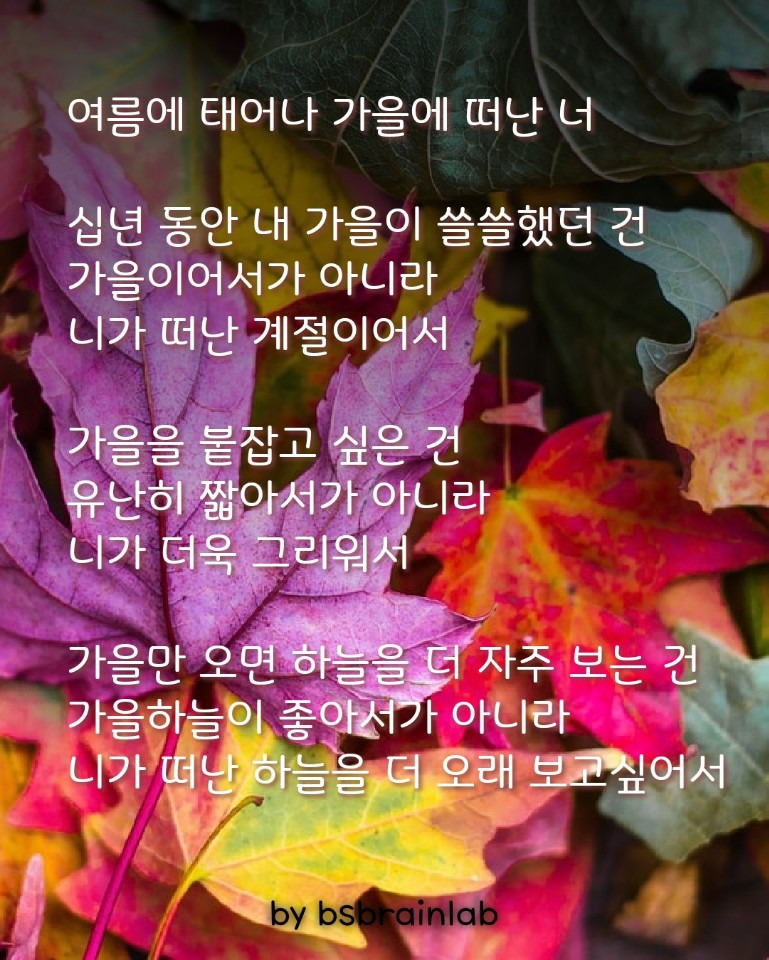 여름에 태어나 가을에 떠난 너