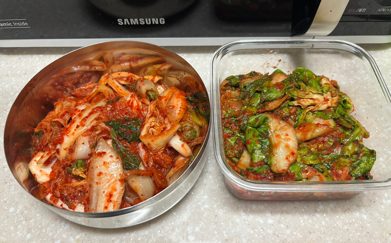 카지노 게임 추천