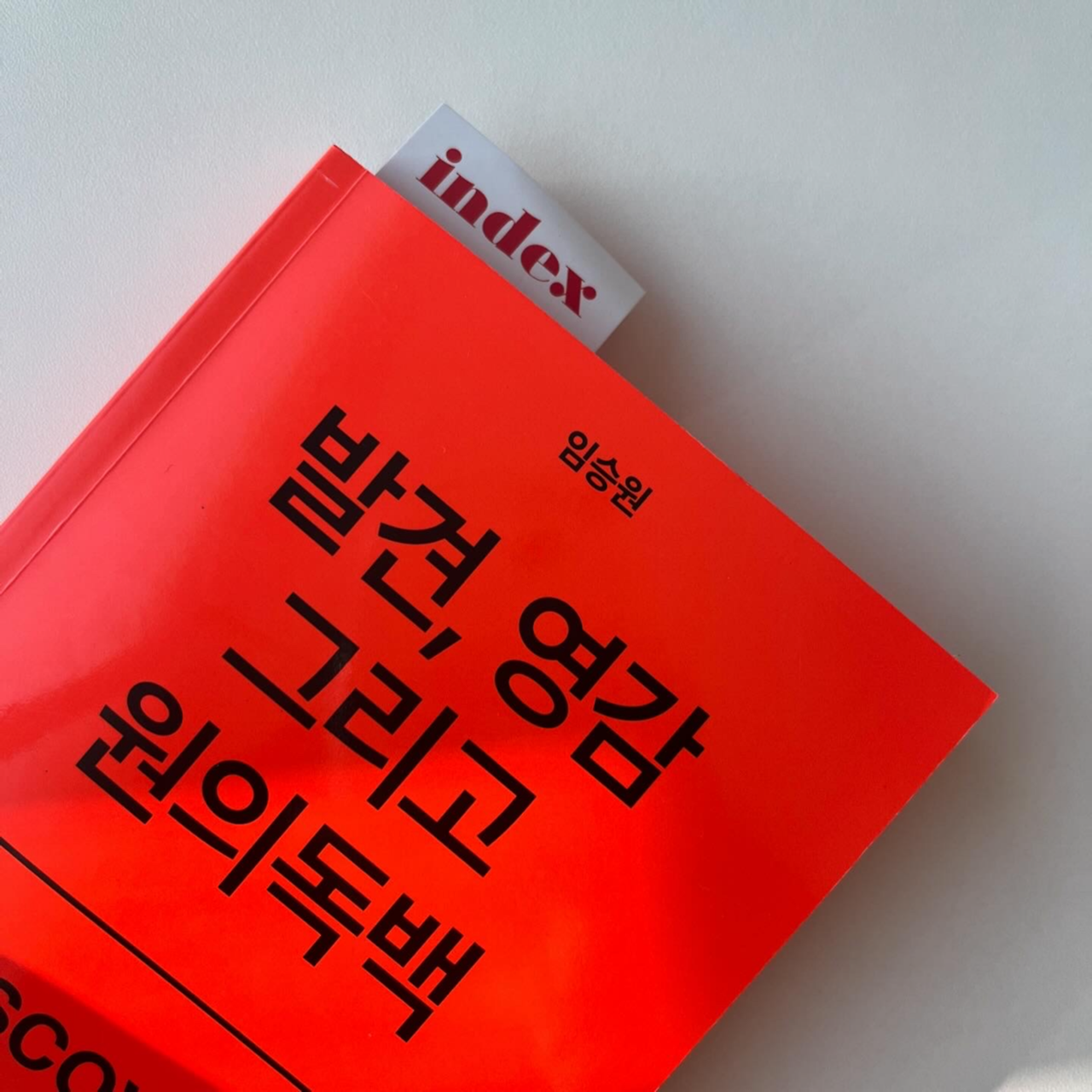 골드시티카지노