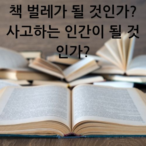 카지노 게임 추천