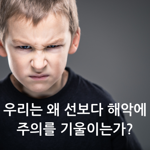 카지노 쿠폰