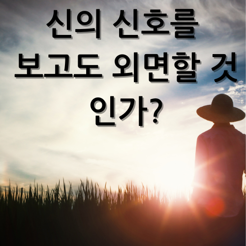 카지노 게임 사이트