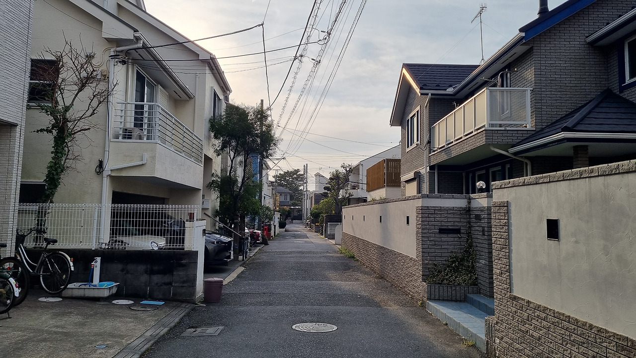 카지노 게임 추천