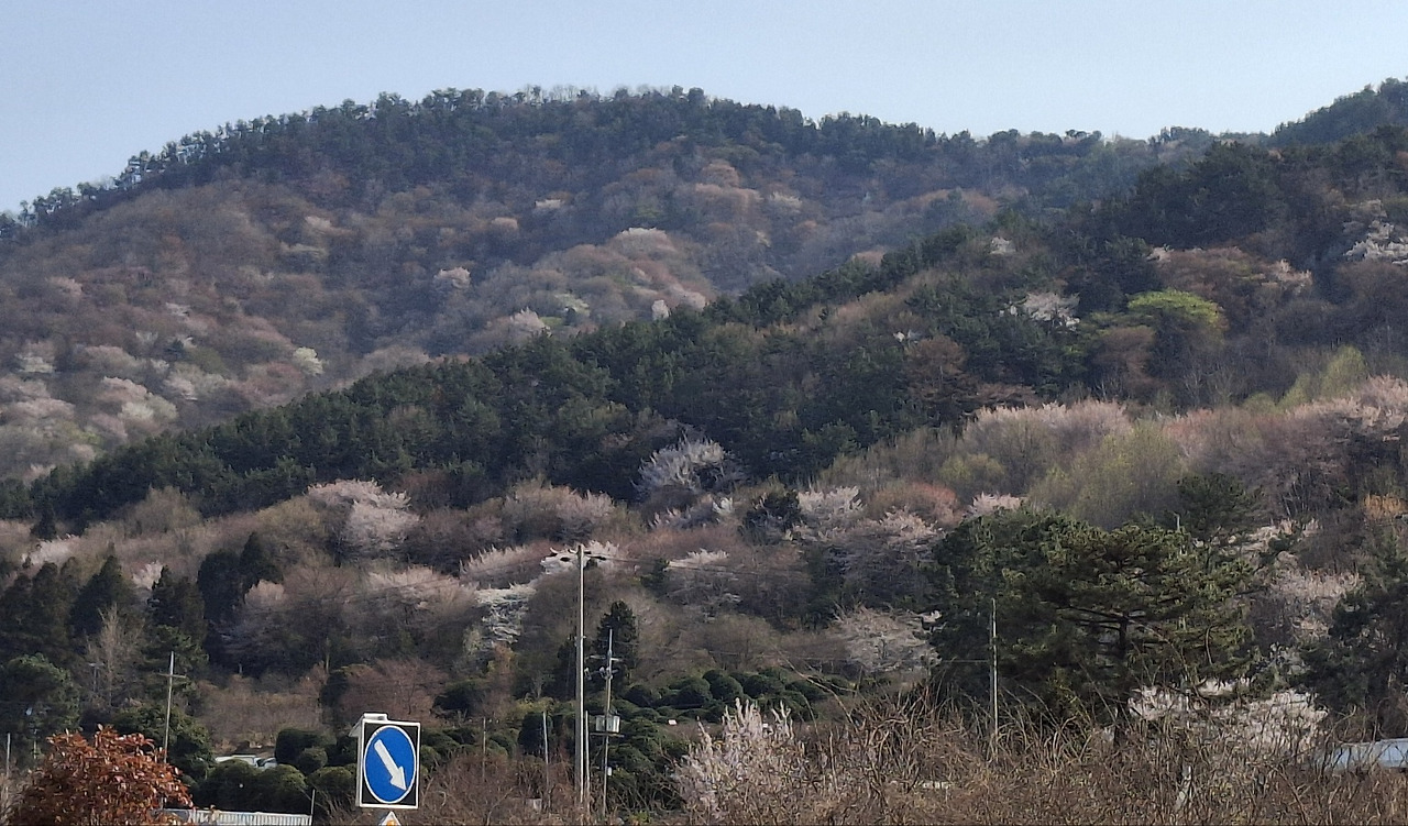 카지노 쿠폰