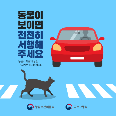 카지노 게임 사이트
