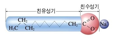 카지노 게임 추천